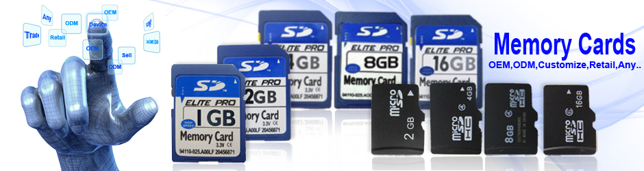 OEM Memory Cards